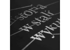 Książka "Historia w stali wykuta"
