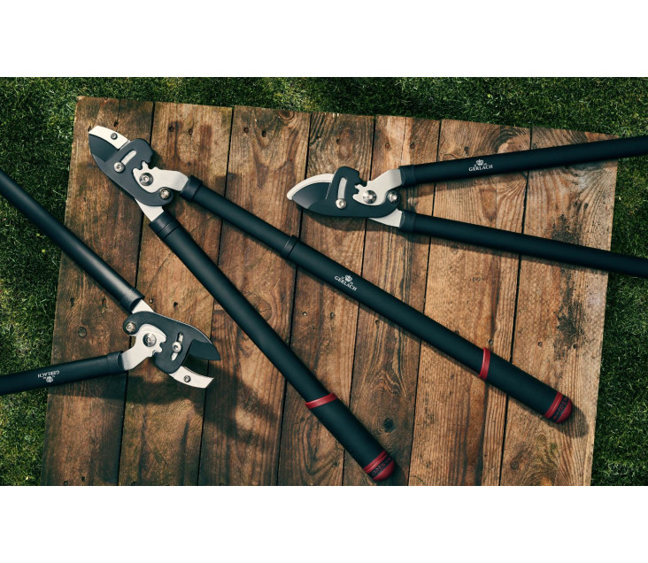 ASSIST Sekator do gałęzi...