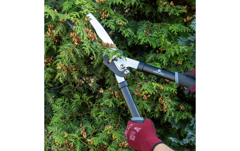 Nożyce do żywopłotu