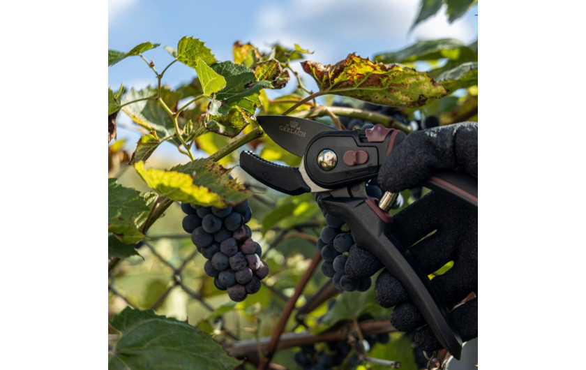 ASSIST Sekator jednoręczny kowadełkowy