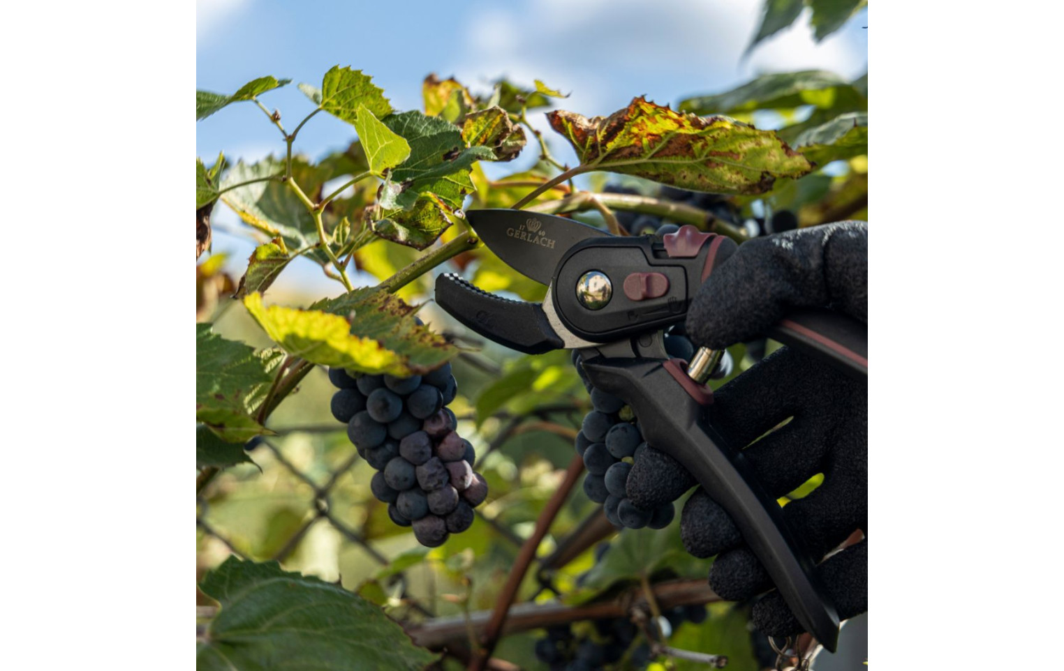 ASSIST Sekator jednoręczny kowadełkowy