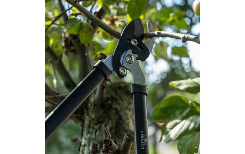 ASSIST Sekator do gałęzi dwuręczny nożycowy