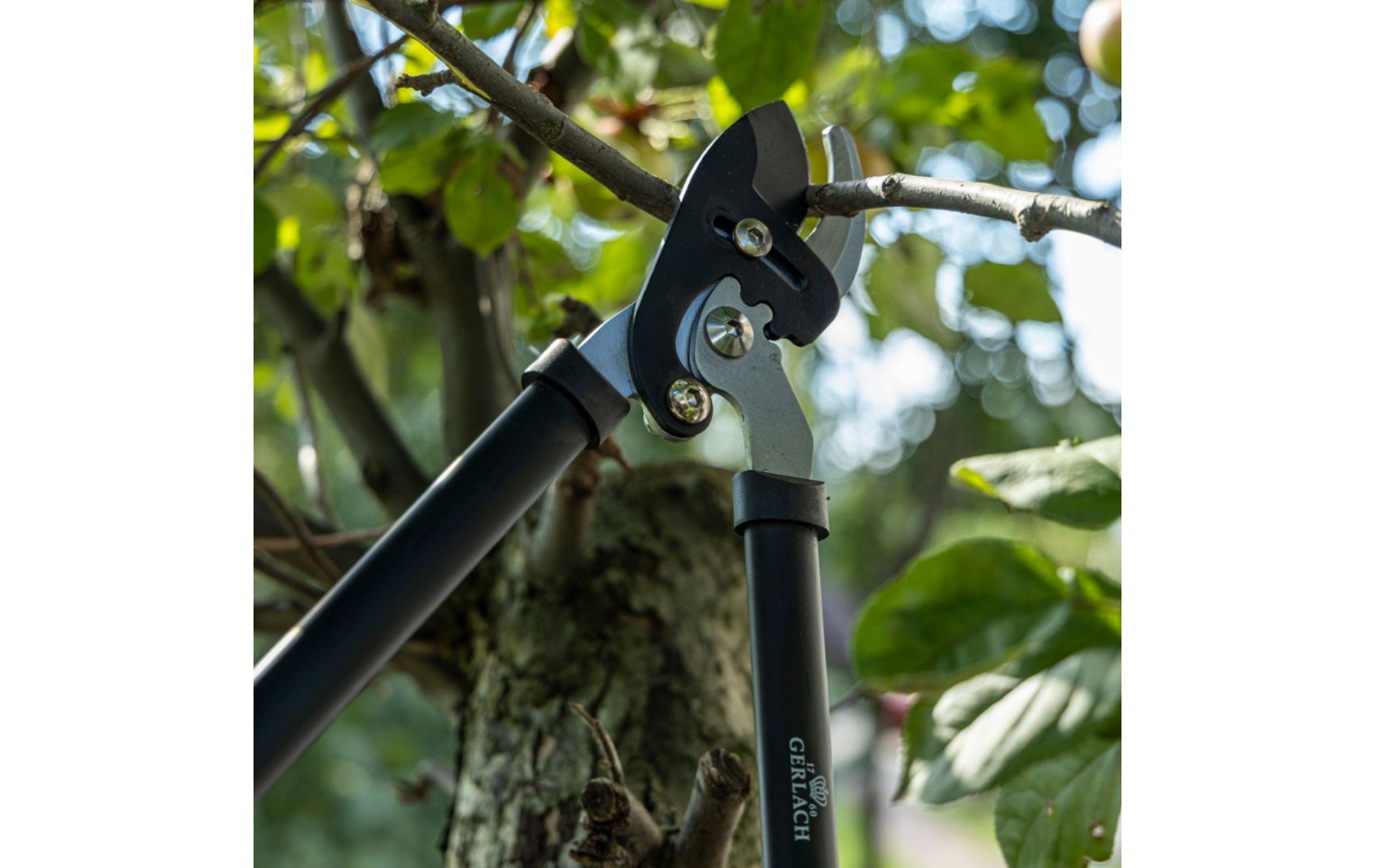 ASSIST Sekator do gałęzi dwuręczny nożycowy