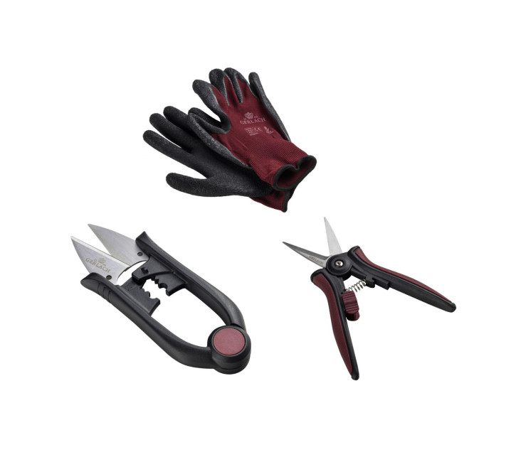 Nożyce do ziół ASSIST + Nożyczki do kwiatów ASSIST + Rękawiczki ogrodowe damskie ASSIST