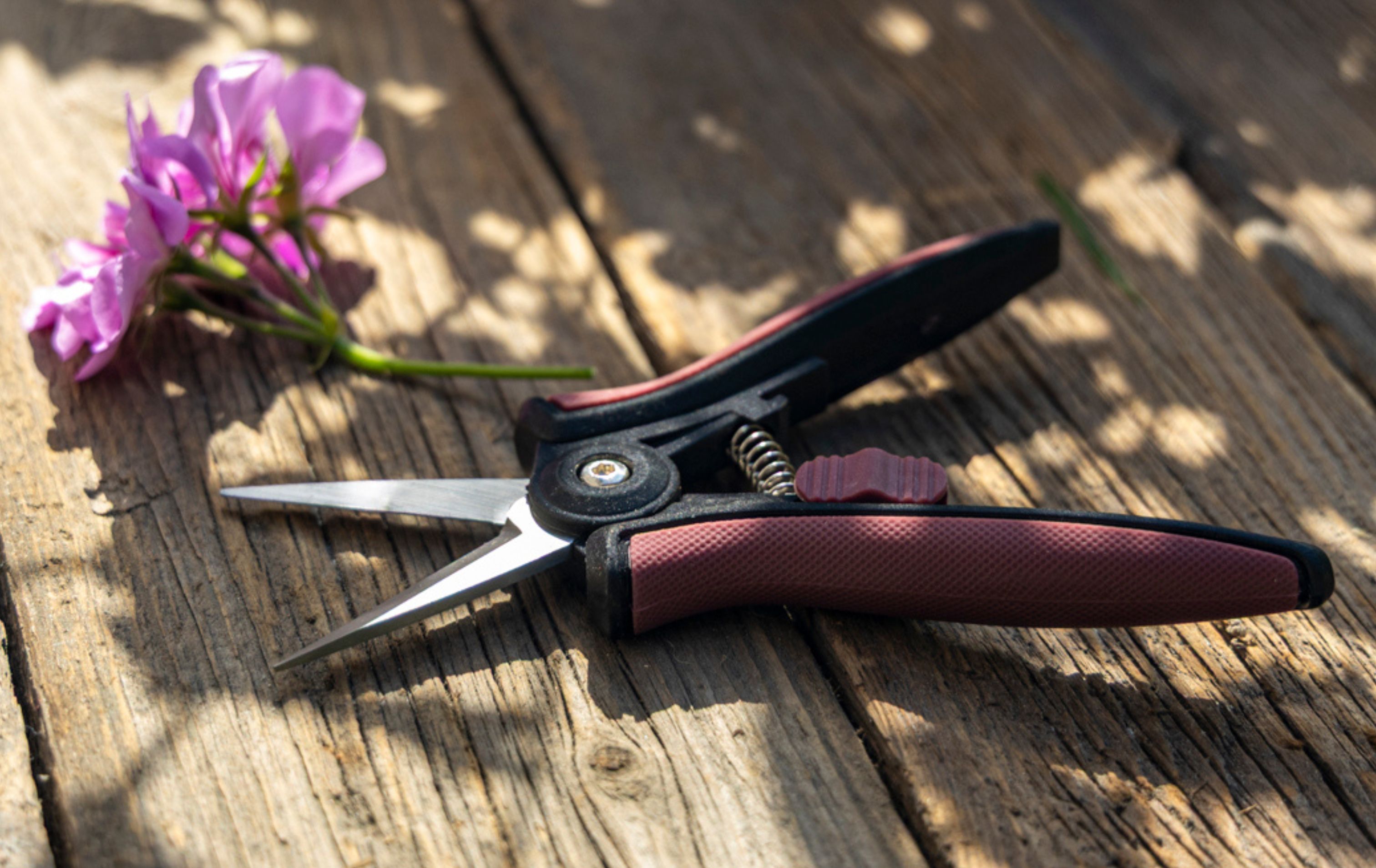 sekator-jednoreczny-kowadelkowy-2 (1).jpg