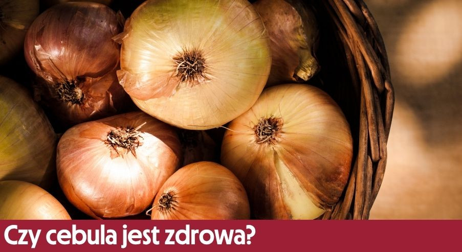 Czy cebula jest zdrowa? Właściwości, witaminy i wpływ na organizm