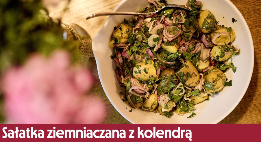 Sałatka ziemniaczana z kolendrą – jak ją przygotować?