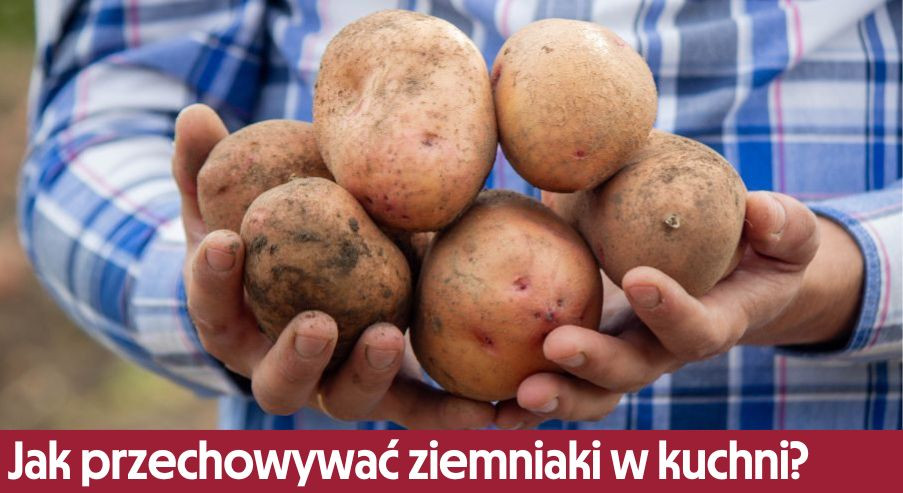 Jak przechowywać ziemniaki w kuchni? Pomysły!