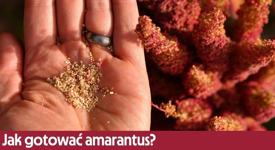 Jak gotować amarantus?