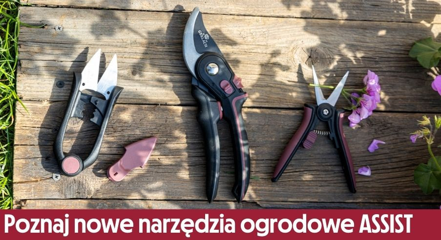 Przygotuj swoje rośliny na wiosnę z nowymi narzędziami ASSIST!