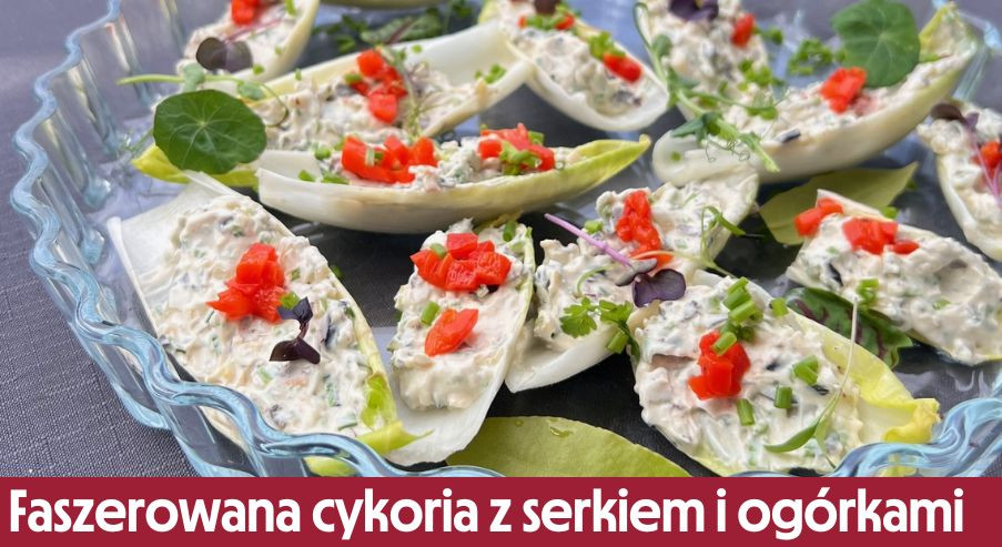 Faszerowana cykoria z serkiem i ogórkami – przekąska pełna smaku