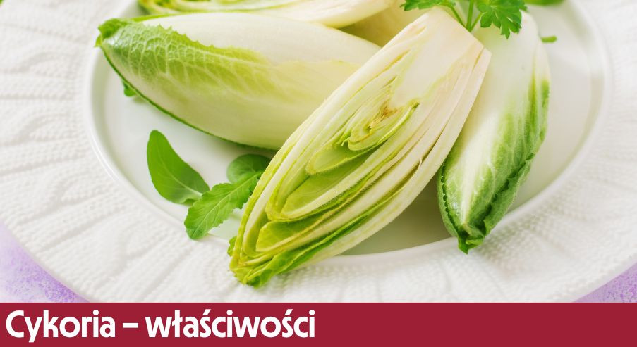 Cykoria – właściwości, o których warto wiedzieć