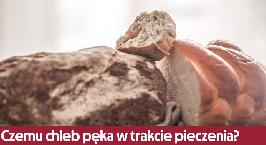 Czemu chleb pęka w trakcie pieczenia? Sprawdź!