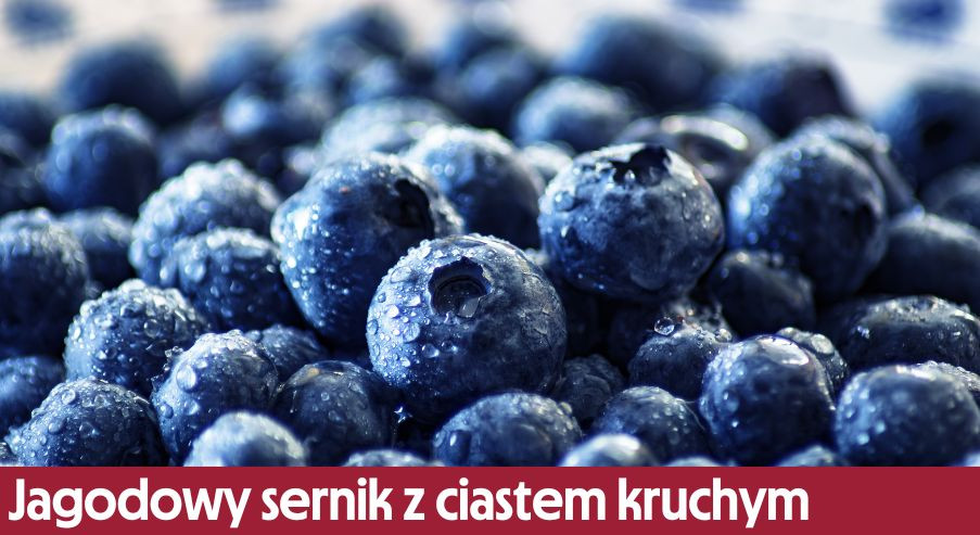 Jagodowy sernik z ciastem kruchym  – sprawdź, jak go zrobić krok po kroku!