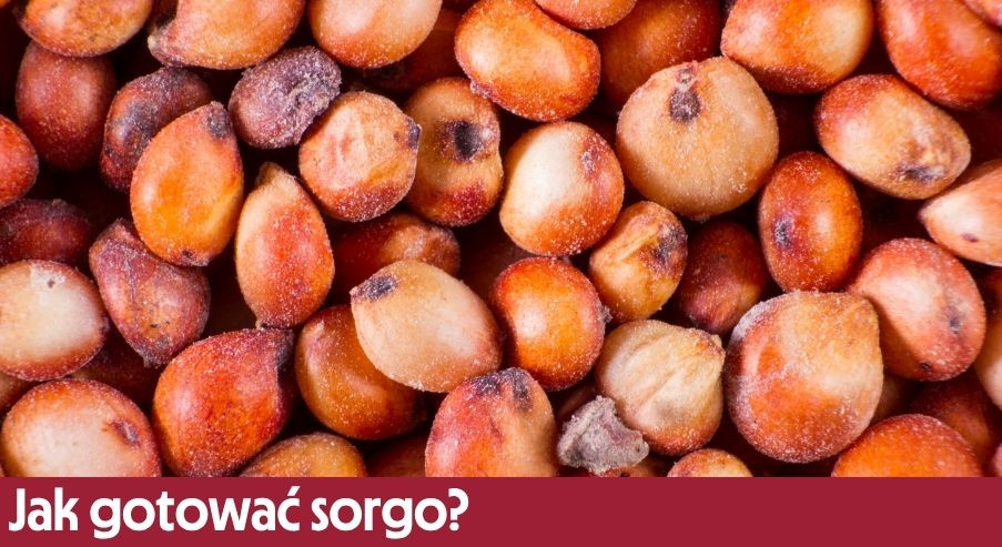 Jak gotować sorgo?