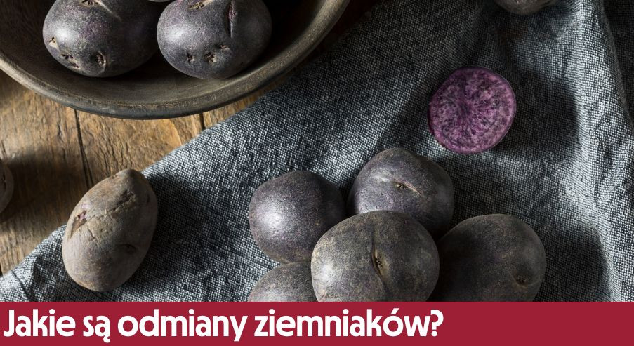 Jakie są odmiany ziemniaków? Gotuj smaczniej!