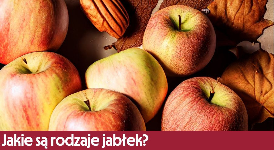 Jakie są rodzaje jabłek?