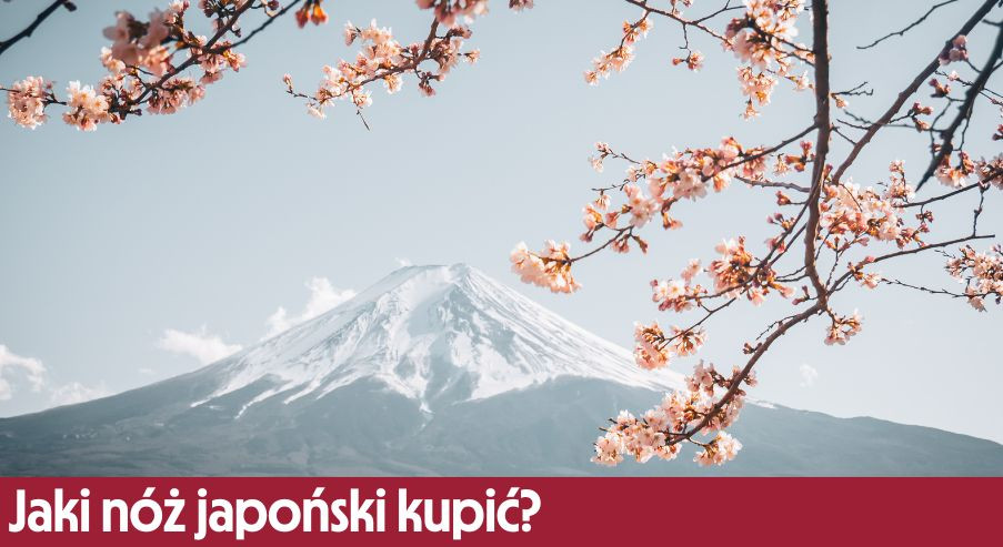 Jaki nóż japoński kupić?