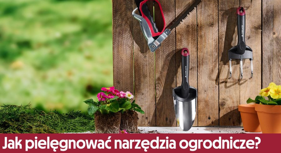 Jak pielęgnować narzędzia ogrodnicze? Poradnik ogrodnika