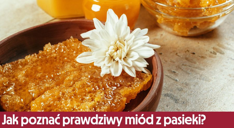 Po czym poznać prawdziwy miód prosto z pasieki?