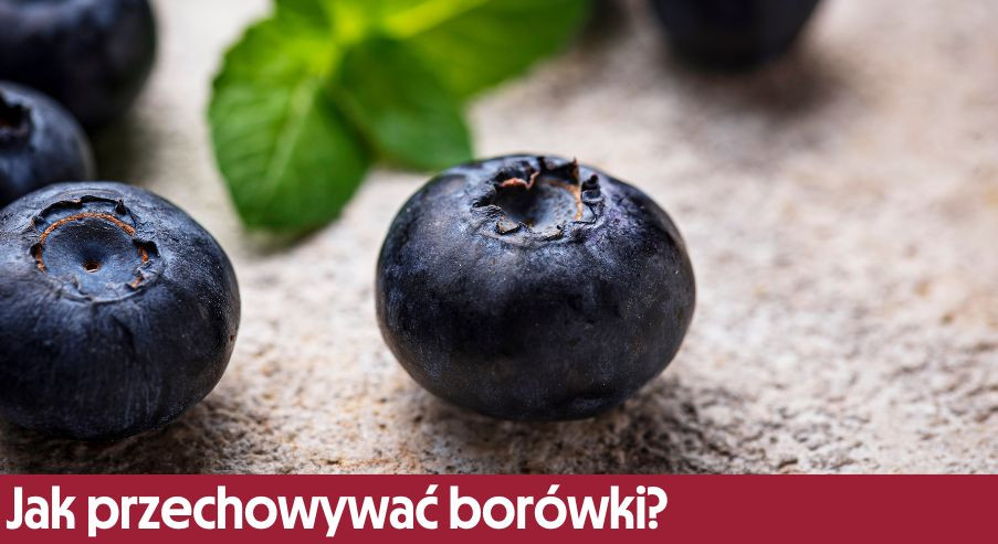 Jak przechowywać borówki?