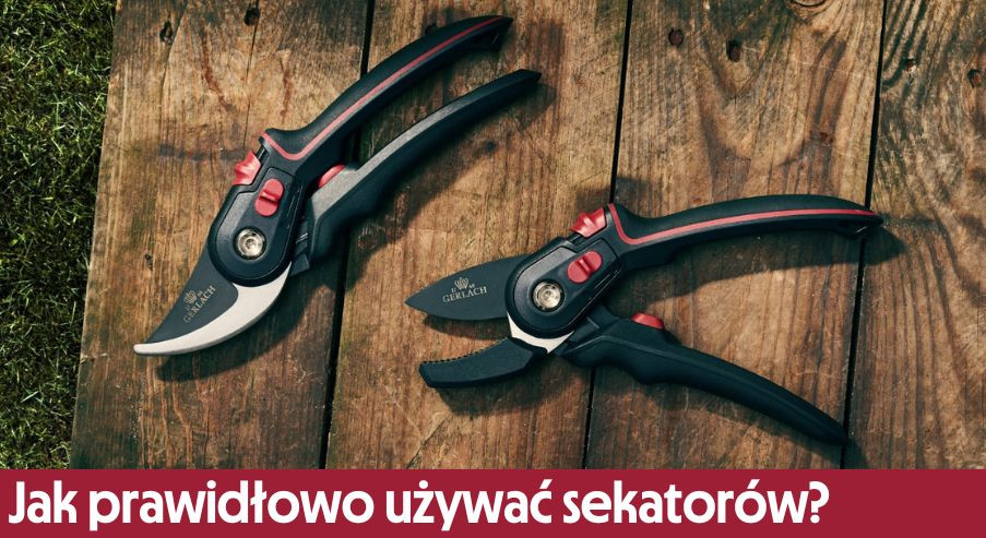 Jak prawidłowo używać sekatorów?