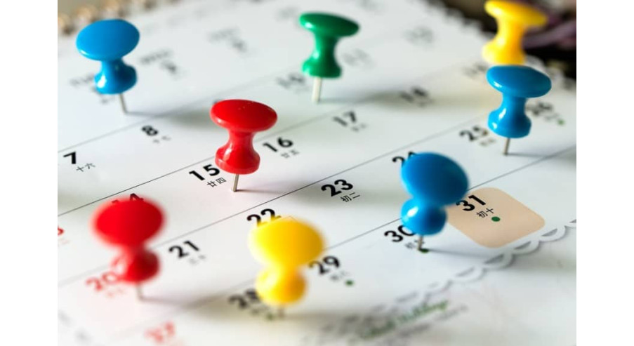 Kalendarz prac ogrodniczych od lipca do grudnia