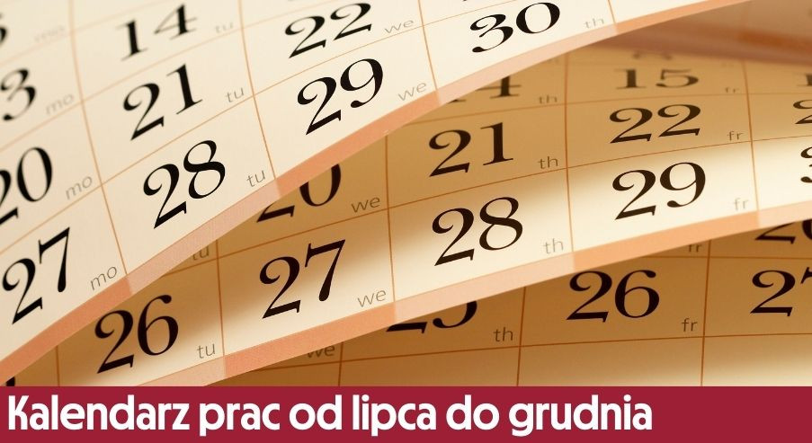 Kalendarz prac ogrodniczych od lipca do grudnia