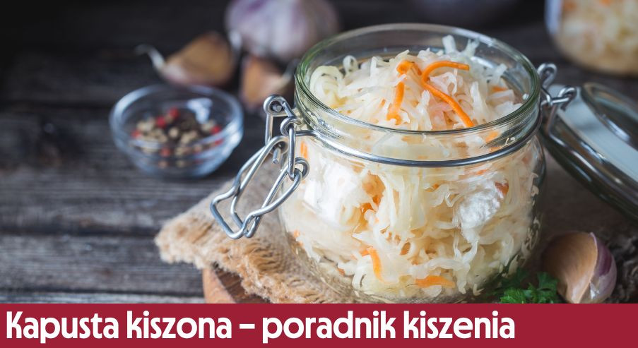 Kapusta kiszona – poradnik kiszenia krok po kroku