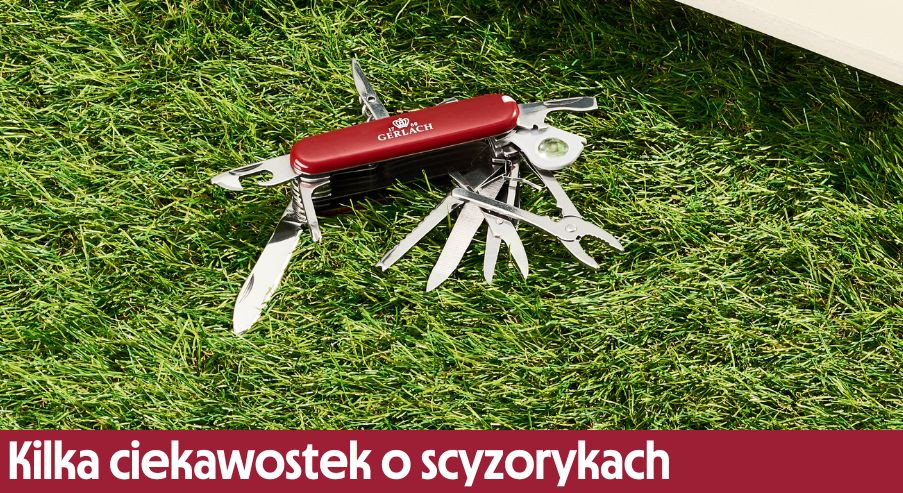 Kilka ciekawostek o scyzorykach