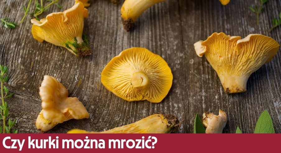 Czy kurki można mrozić? Poznaj prosty sposób na zachowanie ich smaku