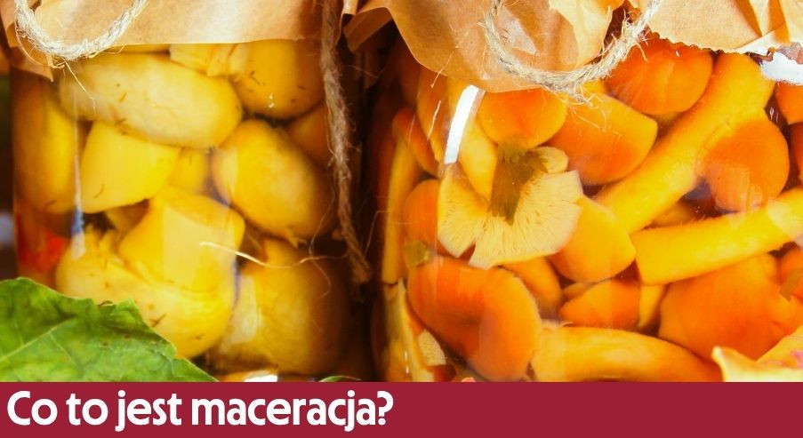 Co to jest maceracja i na czym polega ten proces?