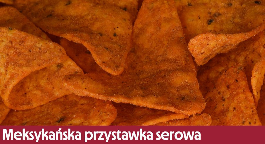 Meksykańska przystawka serowa z salsą i tortillami – sprawdź przepis!