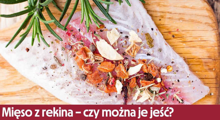 Mięso z rekina – czy można je jeść?