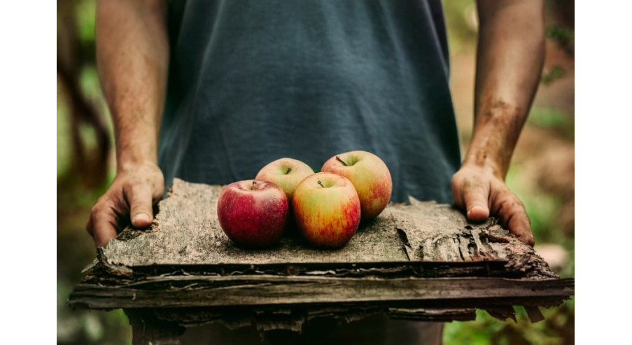 Mus jabłkowy – jak go przygotować?