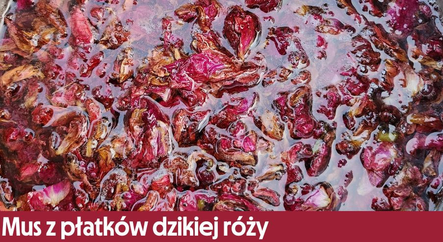 Mus z płatków dzikiej róży z nutą imbiru i białego wina – idealny dodatek do deserów