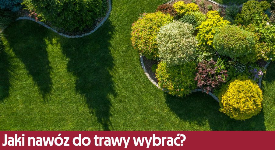 Jaki nawóz do trawy wybrać? Sprawdź!