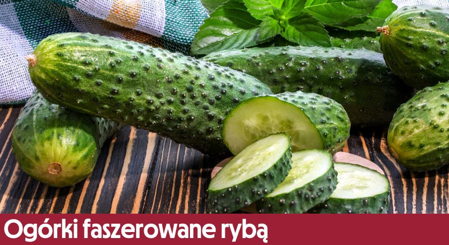 Ogórki faszerowane rybą – świetne na przyjęcie!