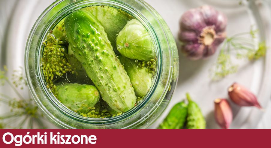 Ogórki kiszone – przepis na zdrową przekąskę