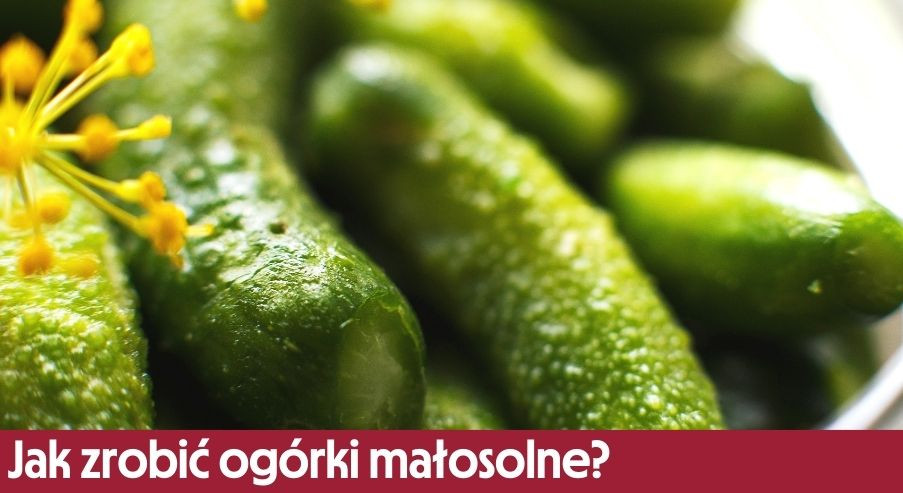 Jak zrobić ogórki małosolne? Sprawdzony przepis: zalewa i proporcje soli
