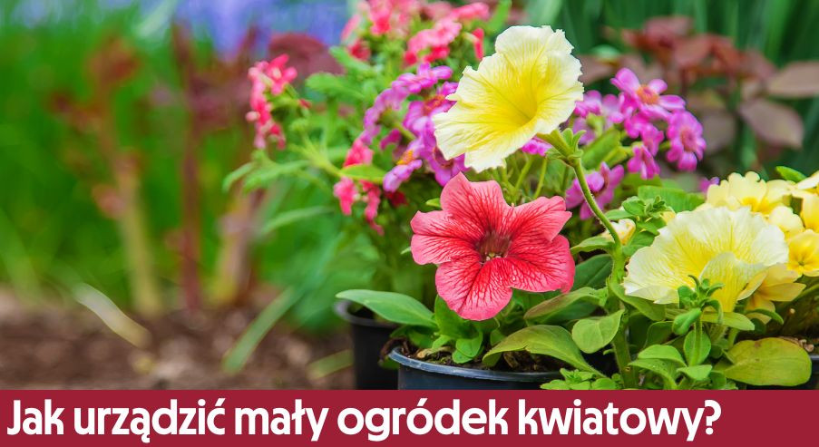 Jak urządzić mały ogródek kwiatowy?