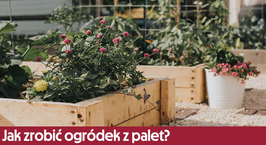 Jak zrobić ogródek z palet?