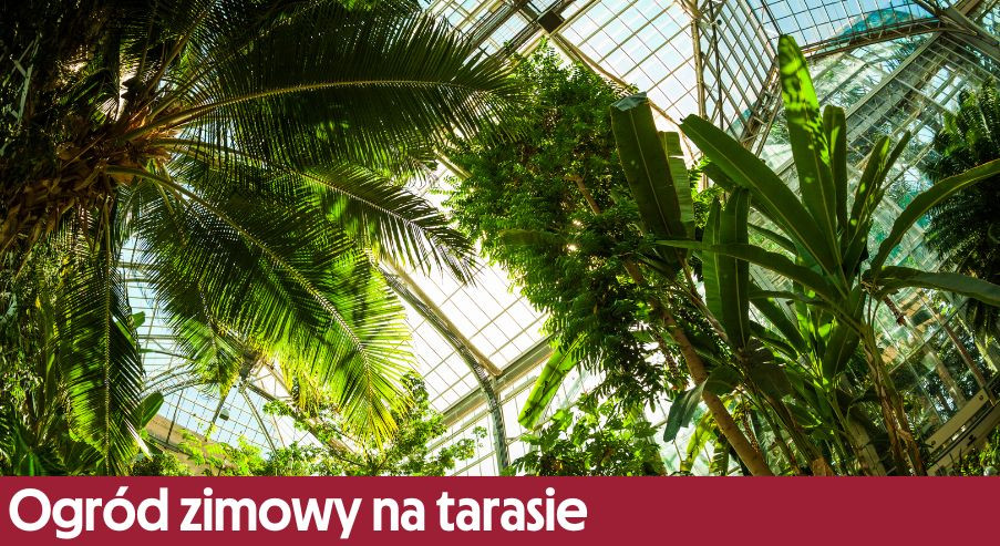 Ogród zimowy na tarasie – zaplanuj wystrój!