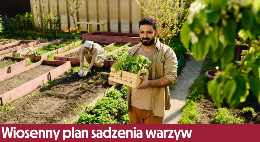 Wiosenny plan sadzenia warzyw – od czego zacząć?