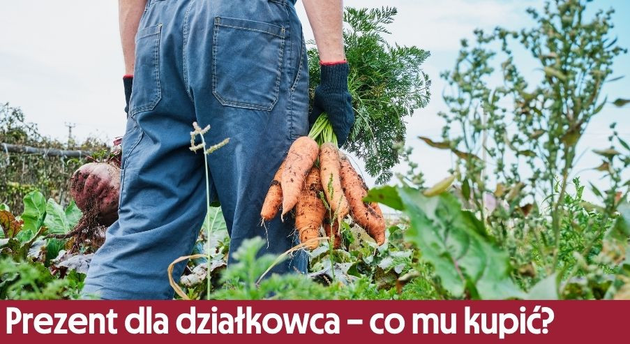 Prezent dla działkowca – co mu kupić?