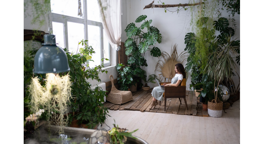 Rośliny w domu – zalety dżungli w salonie