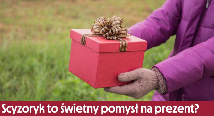 Dlaczego scyzoryk to świetny pomysł na prezent?