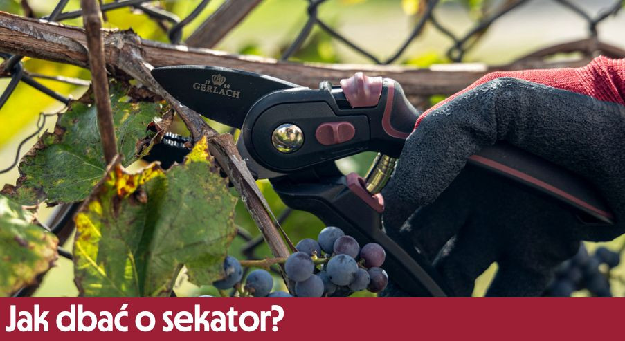 Jak dbać o sekator nożycowy i kowadełkowy?