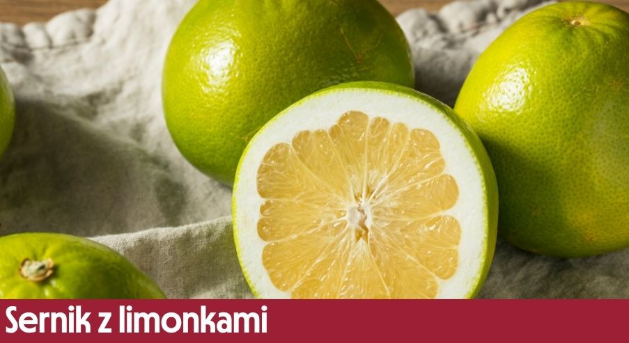 Sernik z limonkami – orzeźwiające ciasto z biszkoptem