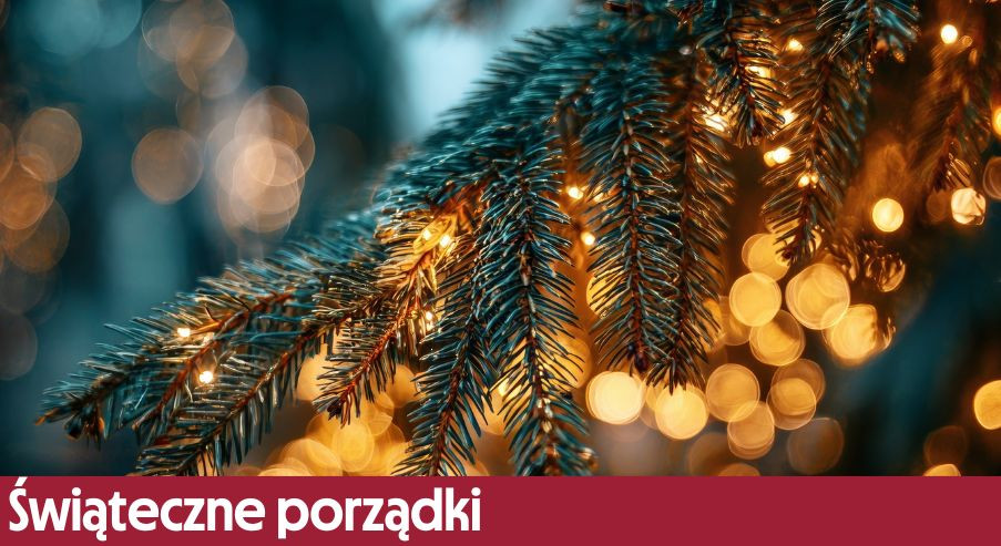 Świąteczne porządki: na co zwrócić szczególną uwagę?
